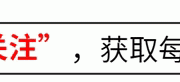 谁将成为NBA全明星新星？揭秘五位潜力无限的青年才俊