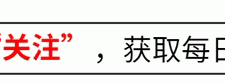 谁将成为NBA全明星新星？揭秘五位潜力无限的青年才俊