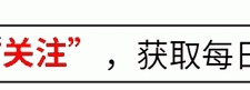 外援纷纷离去，山东泰山何去何从？