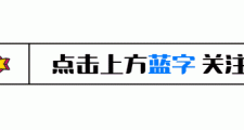 乒坛风暴：WTT新规引发退赛潮，樊振东陈梦的选择是否揭示了背后的秘密？