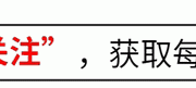 李金羽执教神话：能否引领中国足球走向复兴？