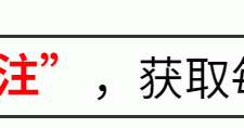 当42岁王子文与30岁陈梦站在一起，我才明白什么叫顶级自律