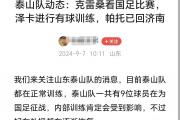 泰山队外援阵容迎新成员，帕托回归引热议，他们能否在亚冠赛场大放异彩？