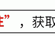 湖人队重磅签约2米13新星，科洛克能否成为紫金军团复兴的钥匙？